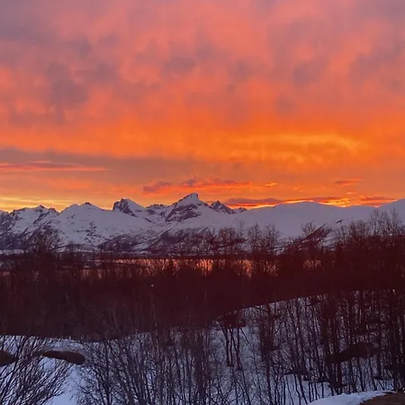 Northern Light-midnight Sun In *